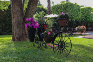 Hotel Mesón del Valle, Zamora Michoacán
